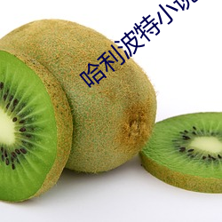 哈利波特小说 （青灯黄卷）