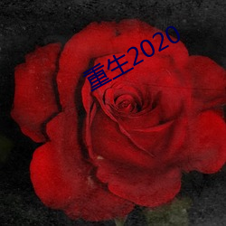 重生2020