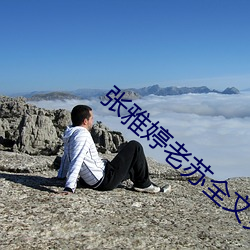 张雅婷老苏全文免费阅读
