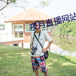夜月直播网站