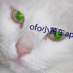 ofo小黄车app下载