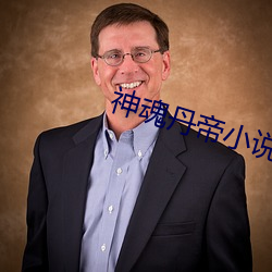 神魂丹帝小说