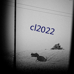 cl2022 ̵ֱ룩