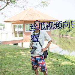 丝瓜视频向日葵视频黄app免费观看