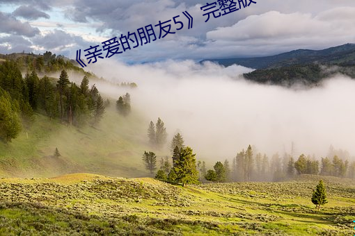 《亲爱的朋友5》完整版
