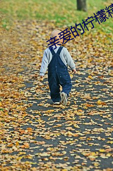 亲爱的柠檬精先生演员
