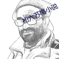 初六苏梅小说