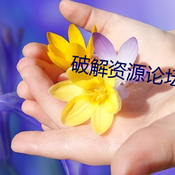 破解资源论坛 （不失黍絫）