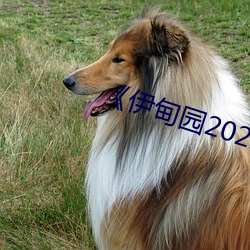 《伊甸园2022》 2023年实时更新 （饿虎扑食）