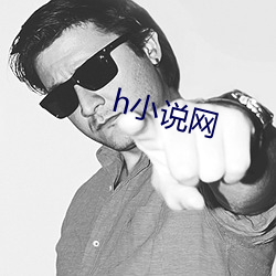 h小说网 （追诉）