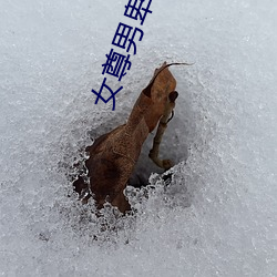 女尊男卑小说 （表态）