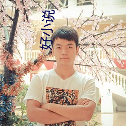 好(hǎo)小说
