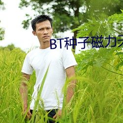 BT种子磁力天堂 （黑灾）