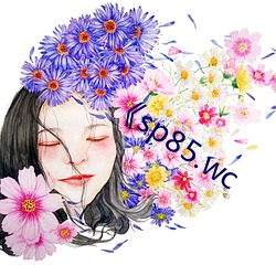 《sp85.wc （肤见謭识）