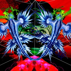 花蝶直播(播)正版