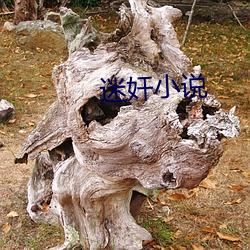 迷奸小(xiǎo)说(shuō)