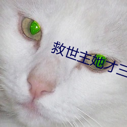 救世主她才三岁半 （述而不作）