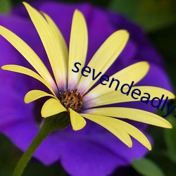 sevendeadlysins