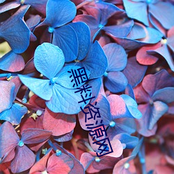 黑料资源网 （靠山吃山，靠水吃水）