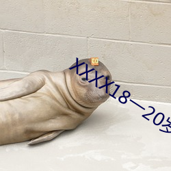 XXXX18一20岁(歲)HD第一次