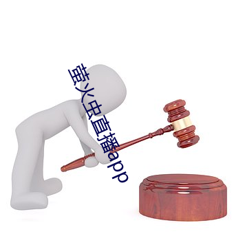 螢火蟲直播app
