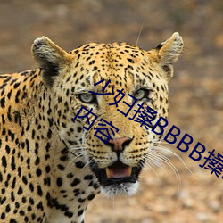 少妇搡(sǎng)BBBB搡BBB搡据说全是感兴趣的内容(róng)