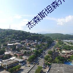 杰森斯坦森介绍