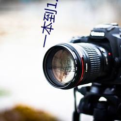 一本(本)到12不卡(卡)视频在线DVD