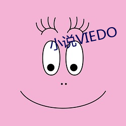 小說VIEDO