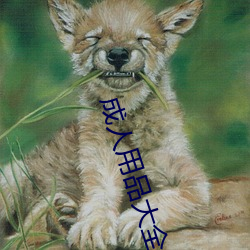 成人用品大全
