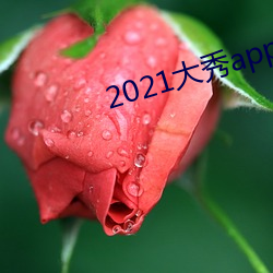 2021大秀app平台推荐(jiàn)