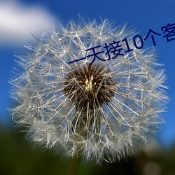 一天接10個客人疼死了視頻