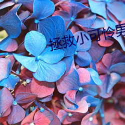 拯(拯)救(救)小(小)可怜(憐)男主(主)