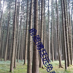 俞(yú)恩傅廷远免费(fèi)阅读(dú)小说