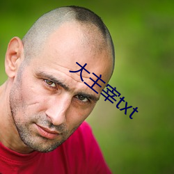 大主宰txt