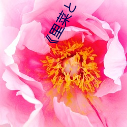《里菜(cài)とりなとあな樱花动(dòng)漫》