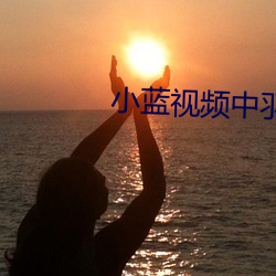 小藍視頻中羽錫的視頻