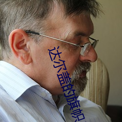 達爾蓋的旗幟是啥