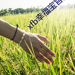 xfb幸福宝(bǎo)官(guān)网(wǎng)入(rù) 首页