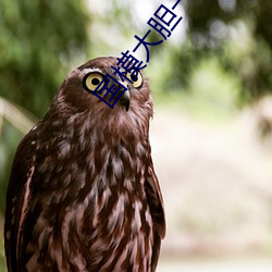 国(guó)模大胆(dǎn)一区(qū)二区三区
