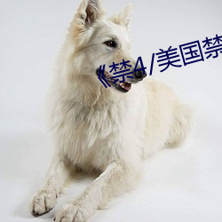 《禁4/美国禁忌4》中文