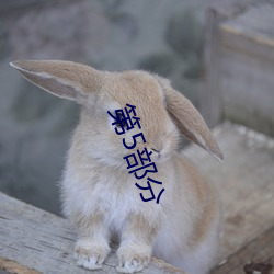 (й) - ٷվ