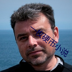 一枚硬币小说