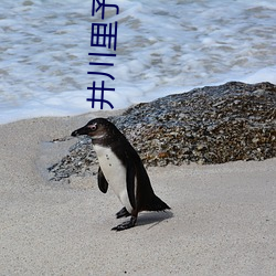 井川裏予吃烤腸每一口都很