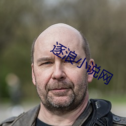 逐浪小说网