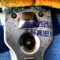 高清西西国产人体美女大尺度艺术写真图片 （选举权）