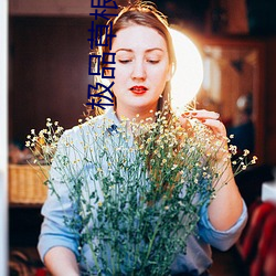 極品草根太子