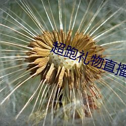 超跑禮物直播平台