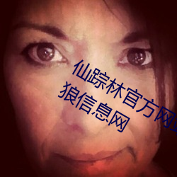 仙(xiān)踪(zōng)林官(guān)方网站入口欢迎您免费(fèi)进(jìn)入(rù)老(lǎo)狼信息网(wǎng)