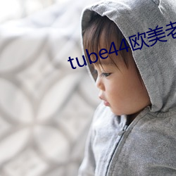 尊龙凯时-人生就是搏!